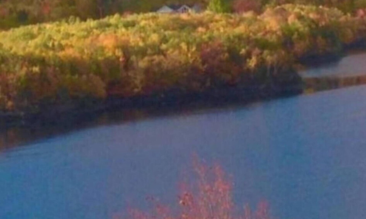 Ingonish Beach キャビン | Beautiful little cabin located on the cabot trail over looking ski cape smokey