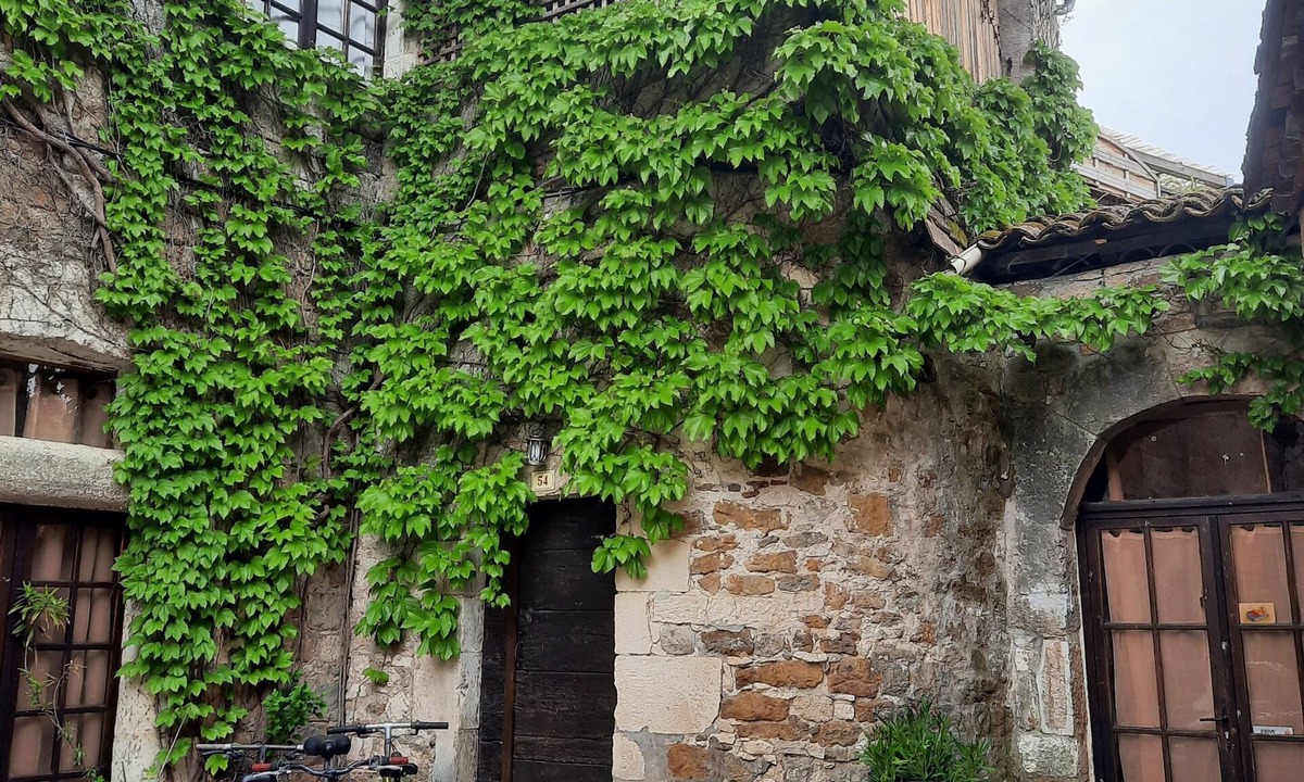 Carennac アパートメント | Carennac-Rocamadour-Padirac—master suite: bathroom + toilet + living room + TV and/or bedroom with garden