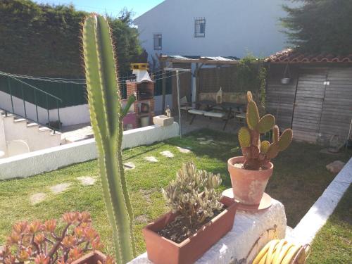 Maca 一軒家 | Casa Dos Cedros