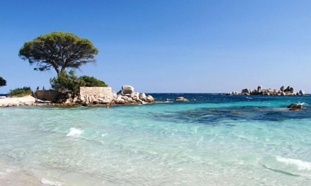 Porto-Vecchio ヴィラ | プロモ-海沿いの魅力的なヴィラ-パロンバッジアビーチ