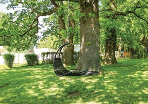 1 bedroom accommodation in Klein Strömkendorf