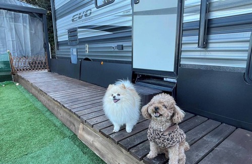 Futo キャビン | ＜3名様利用＞ワンちゃんOK！ドームテント6mE・トレーラーハウス付・レギュラーBBQ・朝食付 / 伊東市 静岡県
