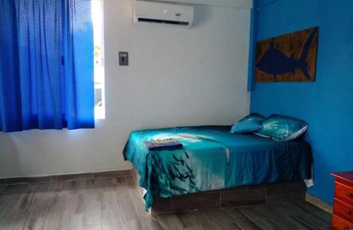 Sontecomapan 一軒家 | Hostal