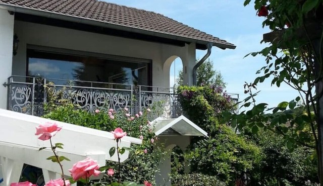 1 Bedroom Apartment in Bad Marienberg (Westerwald)