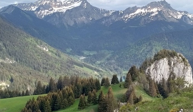 A cozy studio for 4 people in Bellevaux Hirmentaz, at an elevation of 1,100 meters in the Alpes du Léman.