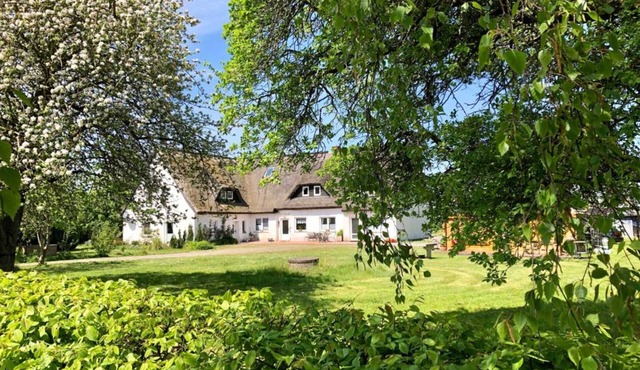 App. 4 with cooking facilities only on the ground floor - Ferienhof Kwijas