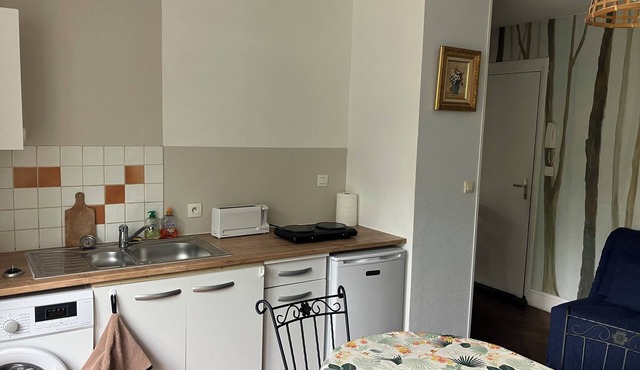 Appartement AU REZ DE Chaussee AU Sein D'une Maison DE Caractere Avec Jardin