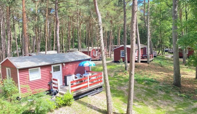 Bungalow Strandläufer 51