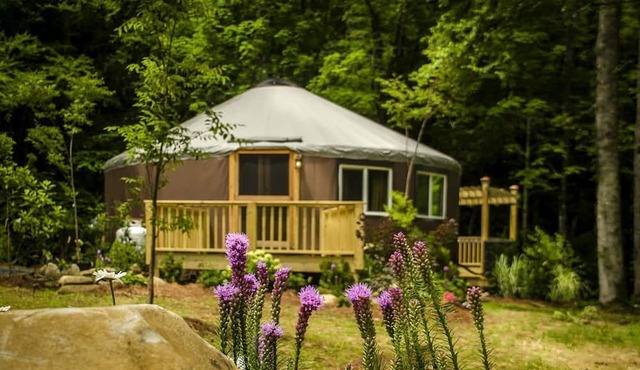 Chic Creek Yurt Comfy for Four in Topton, North Carolina