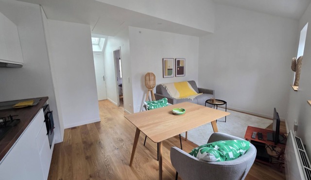 City center 2-room apartment, 2 to 4 people, character building