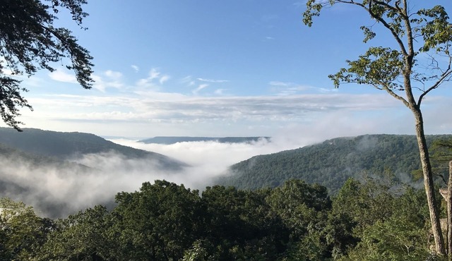 スワニーから数分以内のドラマチックなマウンテンビュー in Monteagle