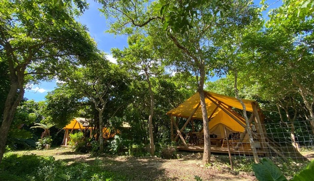 Healing glamping where you can get in touch with n/Ishigaki Okinawa