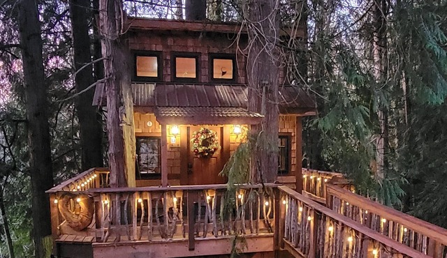 Kalptaru Treehouse Retreat