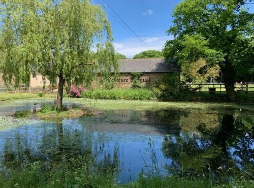 La demeure romantique in Bazouges-sous-Hédé
