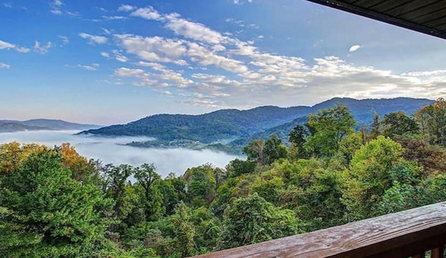 Layered Mtn Views, Privacy, Firepit, HOT TUB, High Speed Wifi, Game Room.