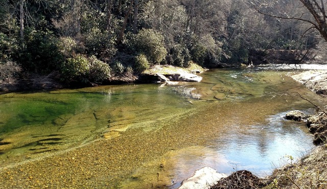 North Carolina Mountains - 40 Acre Retreat on the South Toe River Burnsville NC