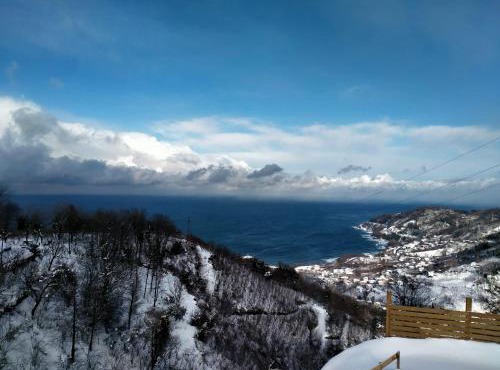 Opera Bungalov