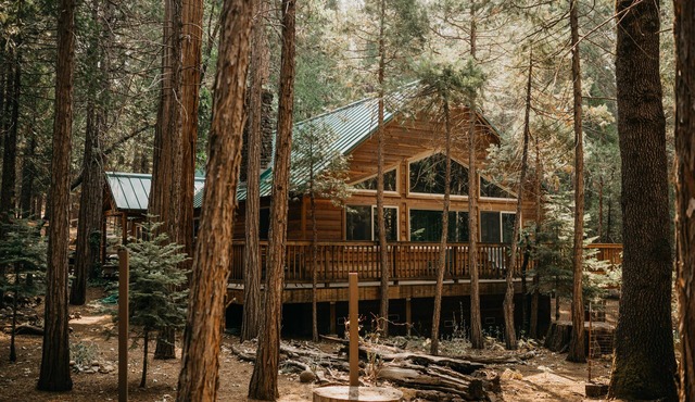 Peace of Mine - Cabin inside Yosemite! - Dog Friendly!