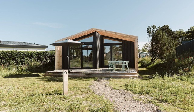 Spacious accommodation where your dog is also welcome in Ouddorp