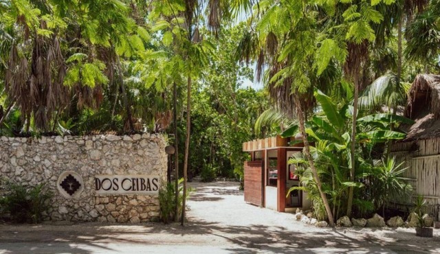 Study - 6 in Tulum