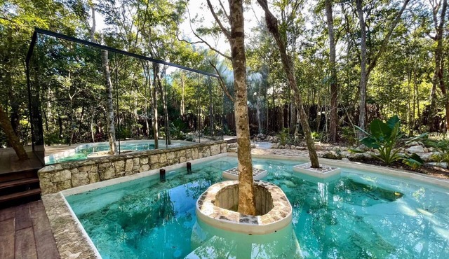 Tinyhome Meets Glamping Mayan Jungle Experience! in FRANCISCO UH MAY
