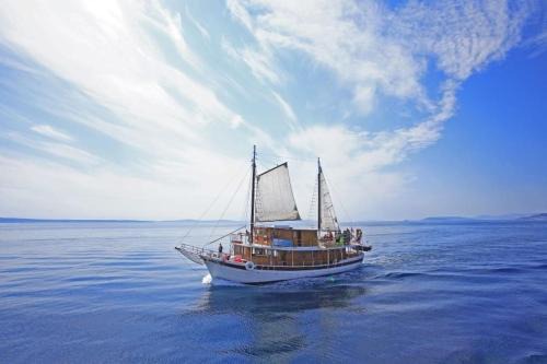Traditional gulet with crew breakfast&lunch