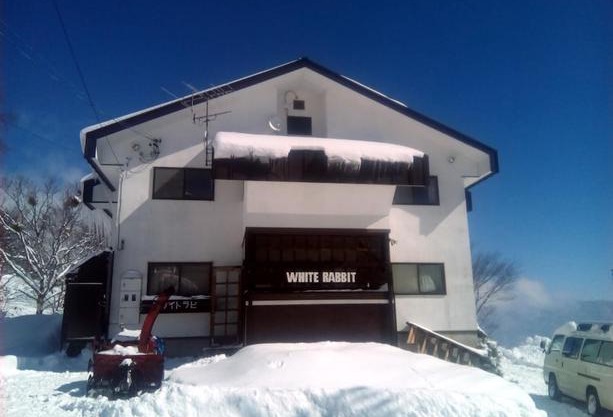 White Rabbit Madarao