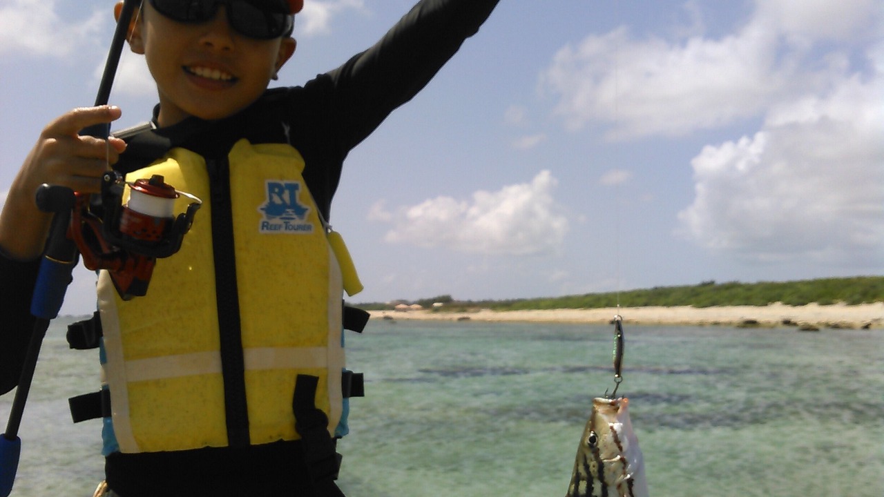 の写真 その他 で Ishigaki
