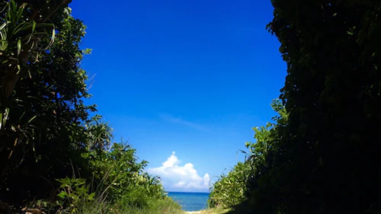 の写真 その他 で Ishigaki