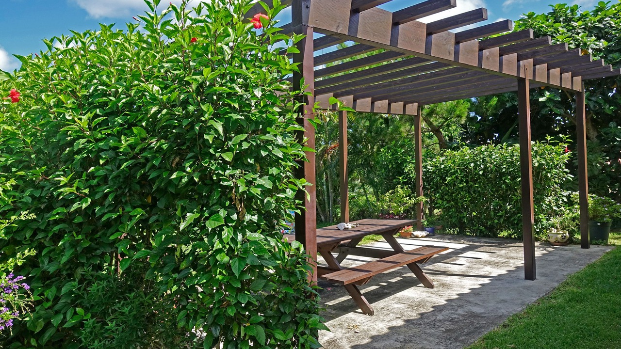 の写真 屋外 で Ishigaki