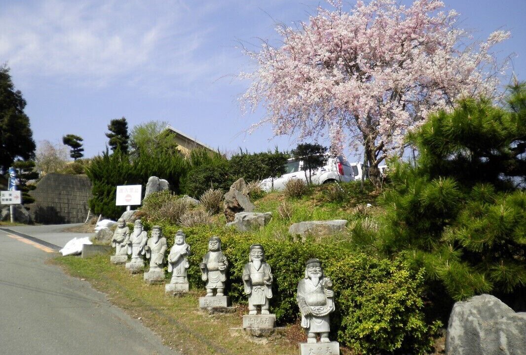 の写真 屋外 で Mine
