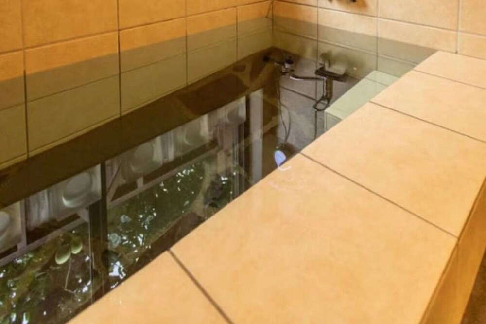 の写真 その他 で Miyakami