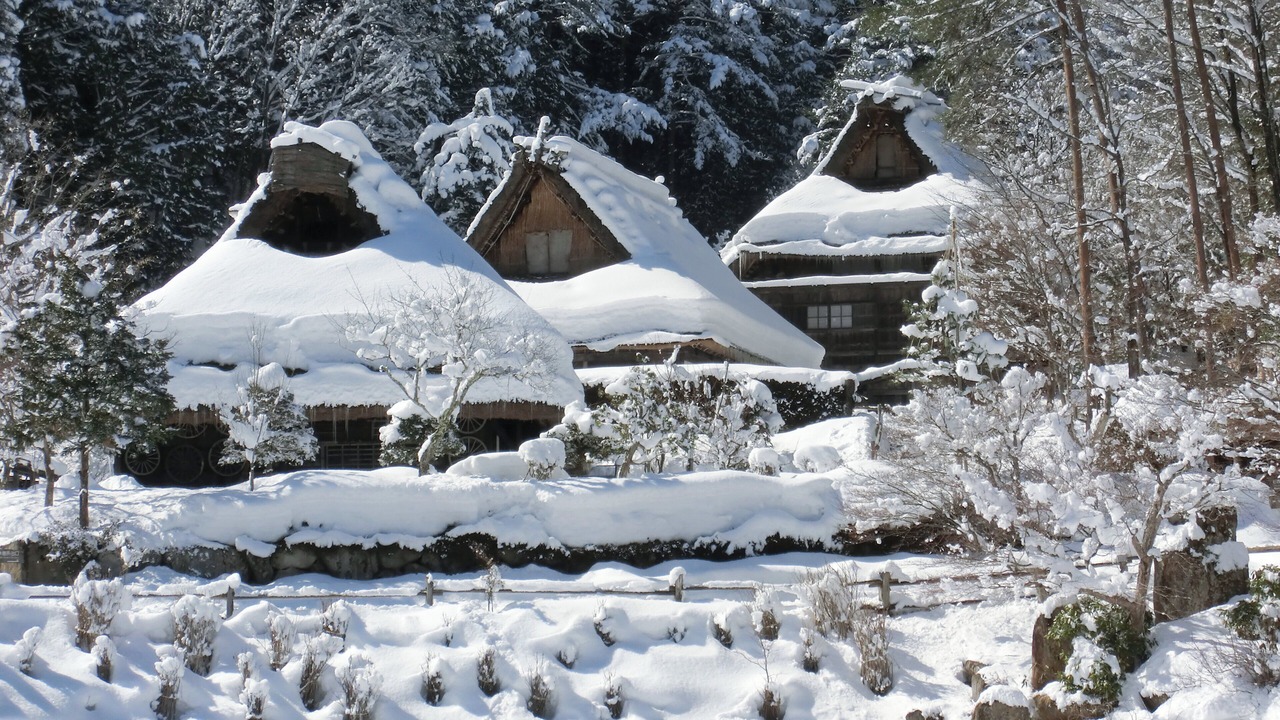 の写真 その他 で Kanayama