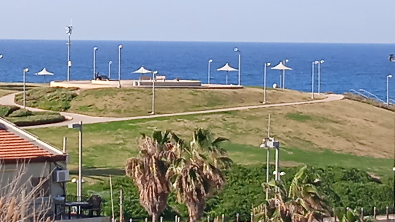 の写真 屋外 で Jaffa