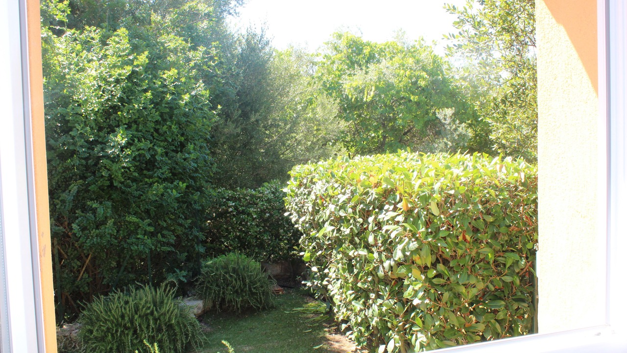 の写真 その他 で Hameau de Palombaggia