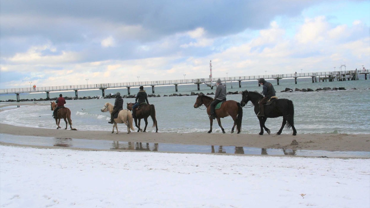 の写真 その他 で Ostseebad Wustrow