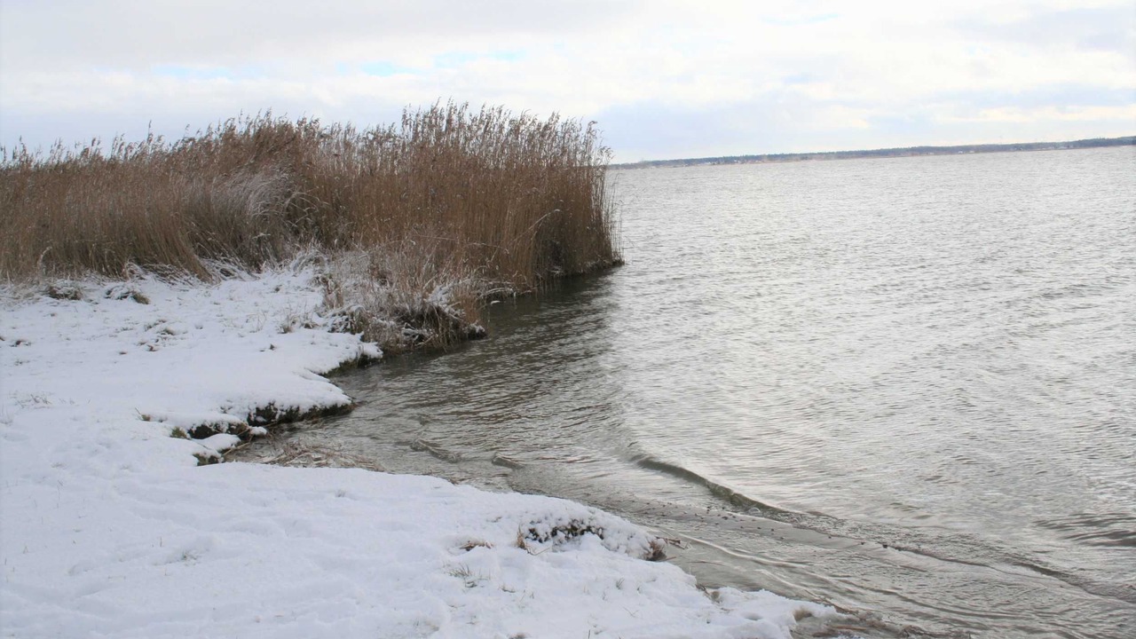 の写真 その他 で Ostseebad Wustrow
