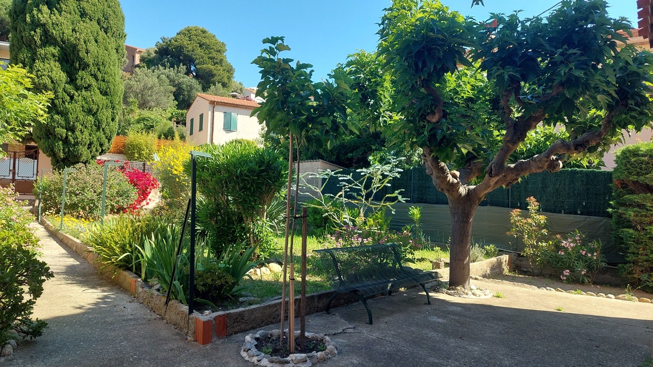 の写真 屋外 で Collioure