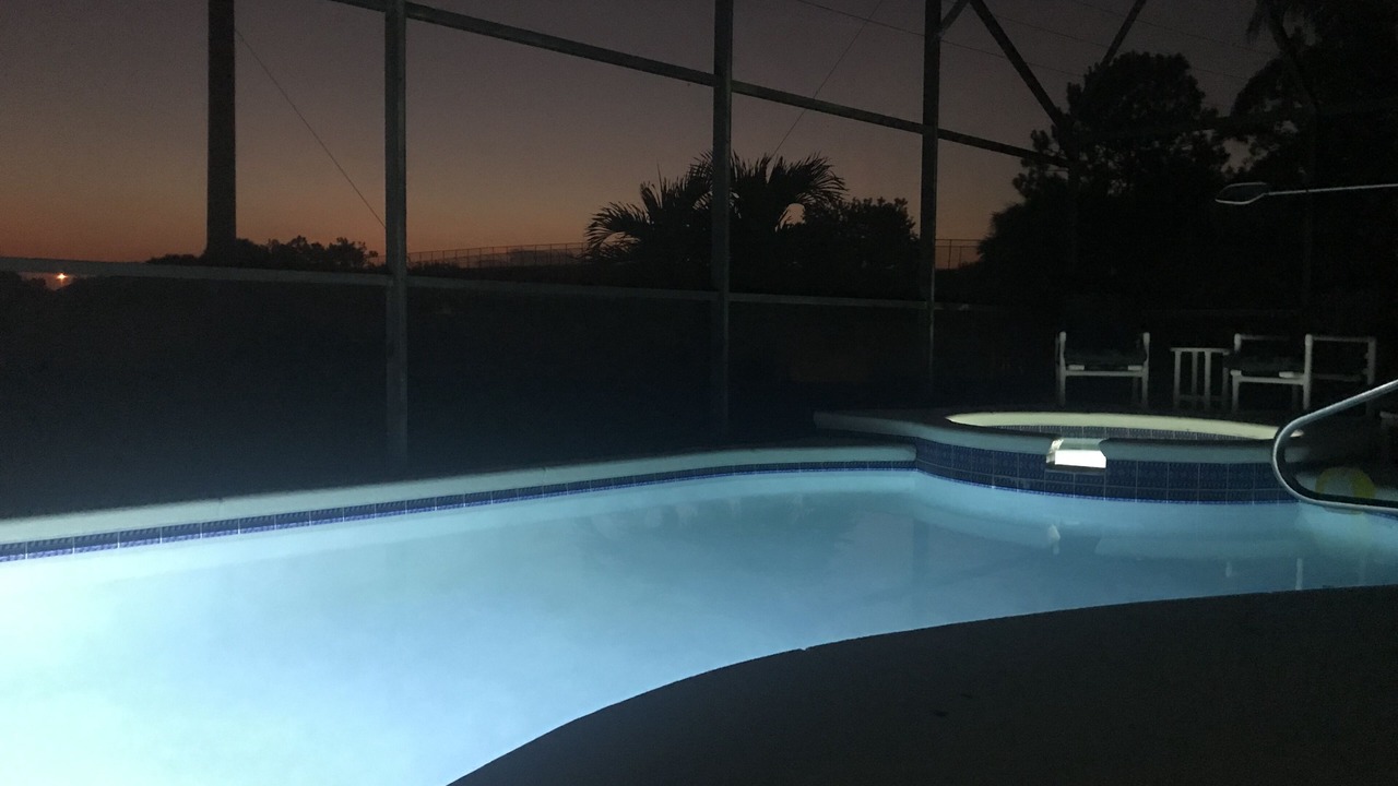 の写真 屋外 で Windsor Palms
