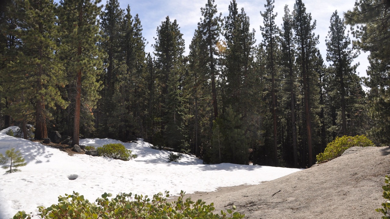 の写真 その他 で South Lake Tahoe