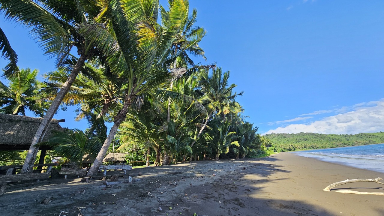 の写真 その他 で Savusavu