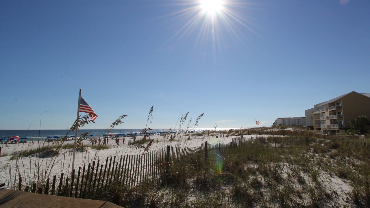 の写真 その他 で Orange Beach