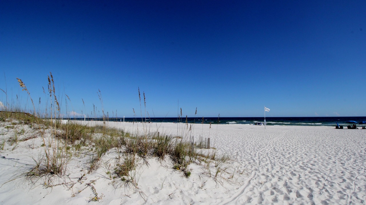 の写真 その他 で Orange Beach