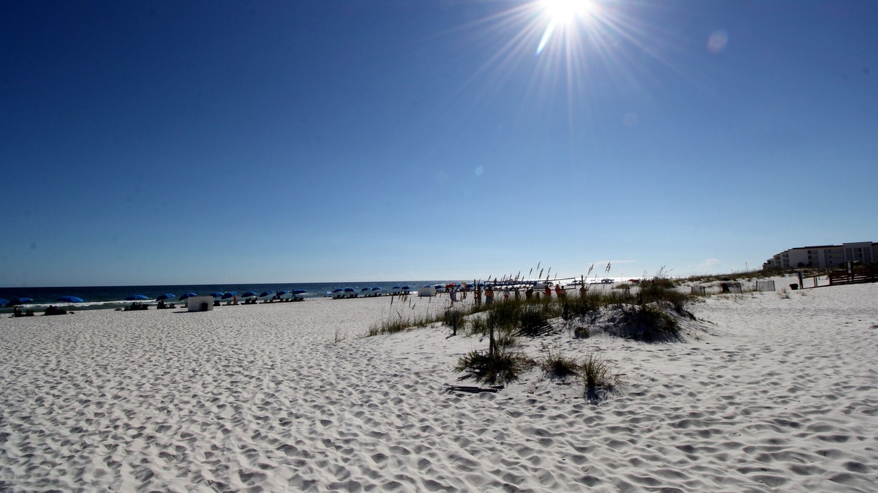 の写真 その他 で Orange Beach