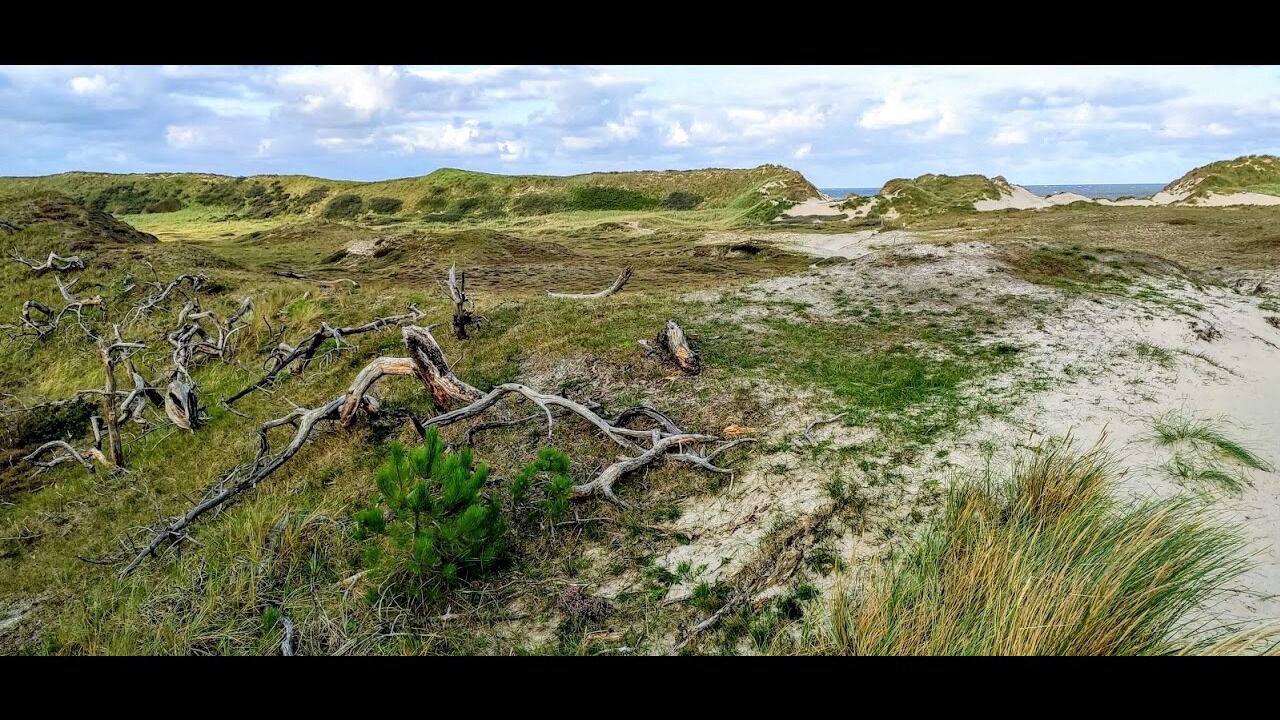 の写真 その他 で Schoorl