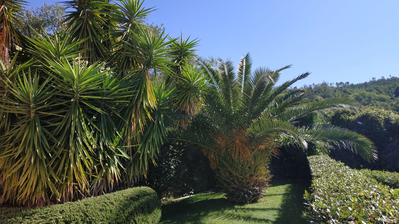の写真 屋外 で Lavagna