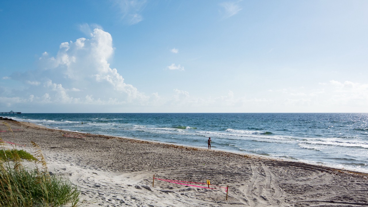 の写真 その他 で Hillsboro Beach