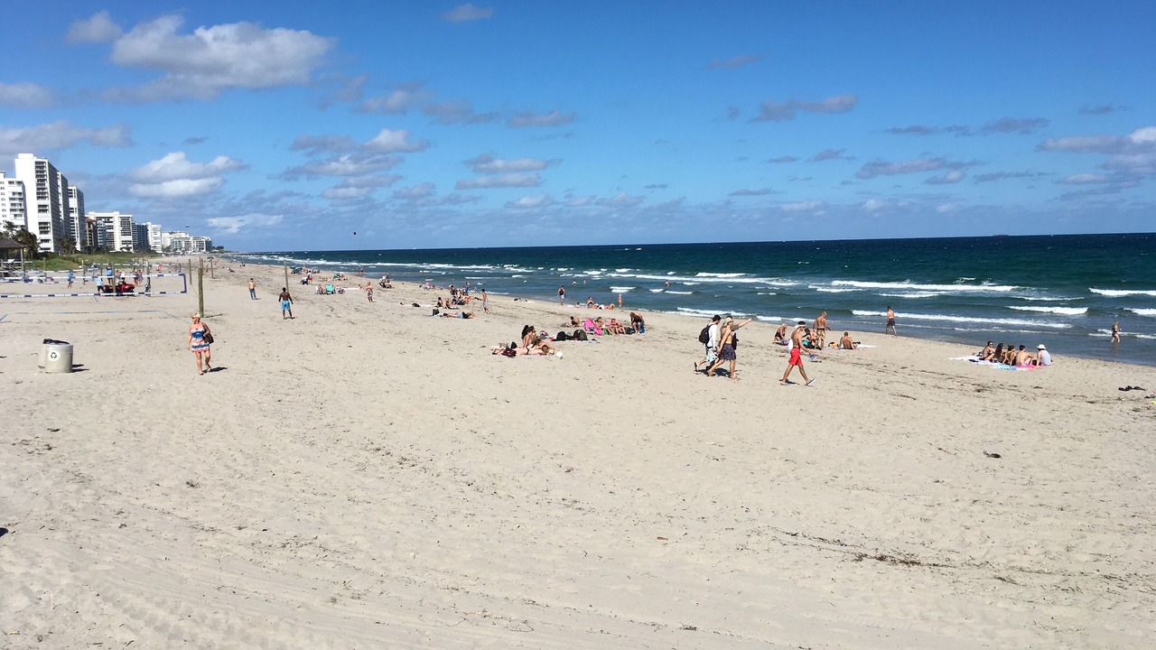 の写真 その他 で Deerfield Beach
