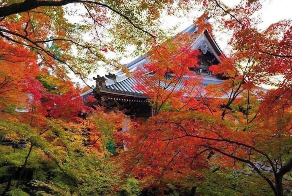 の写真 その他 で Komatsucho