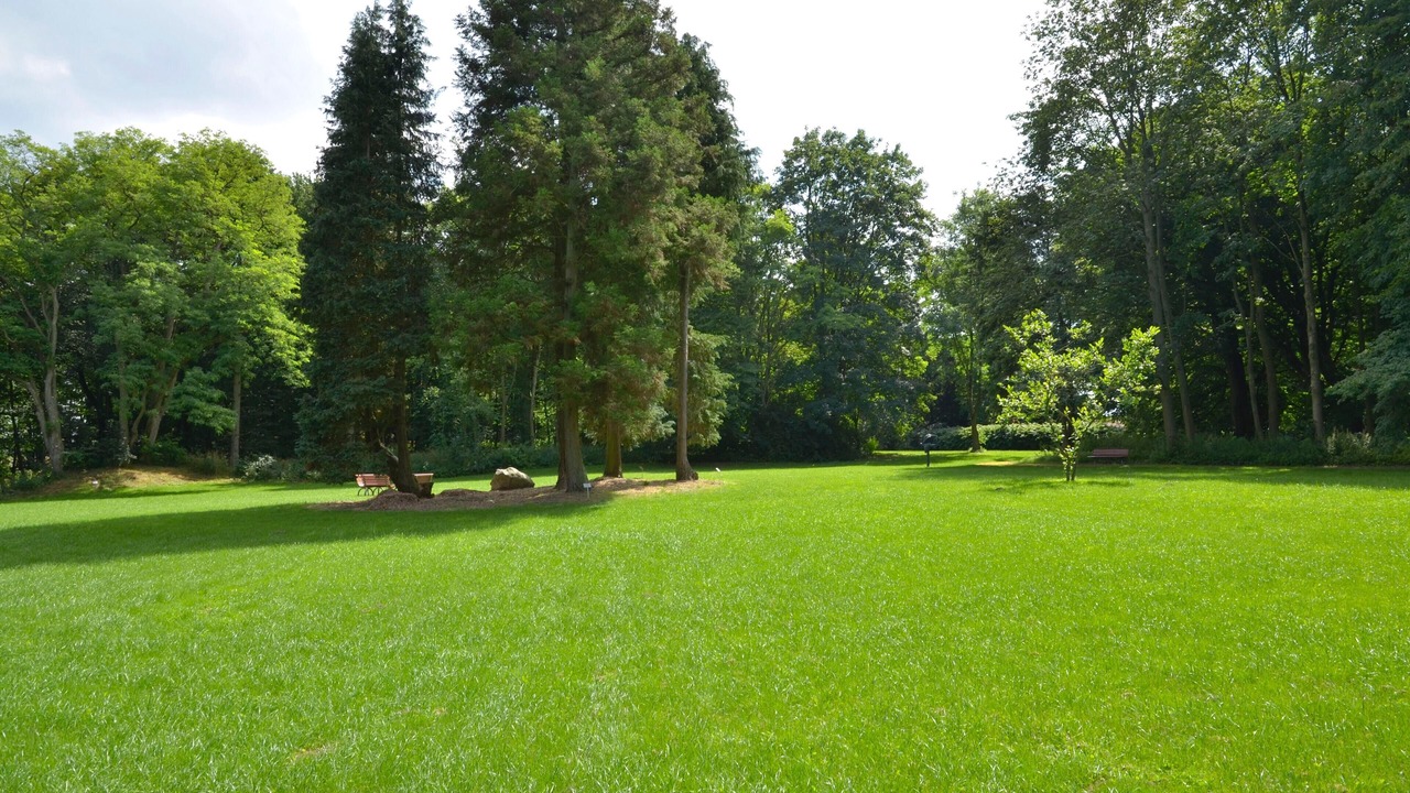 の写真 その他 で Hohen Niendorf